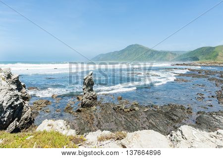 Coastal New Zealand rocky Manurewa Point Wairarapa.