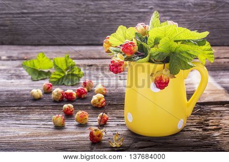 Sprigs northern cloudberry keep pace with red berries in a ceramic mug on a simple wooden background. Useful rare berries growing in the north