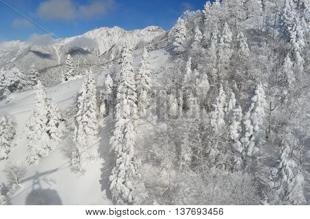 A mountain covered with white snow in Oku-Hida Japan.