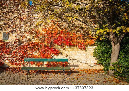 At La Garde d'Adhemar autumn colours and leaves