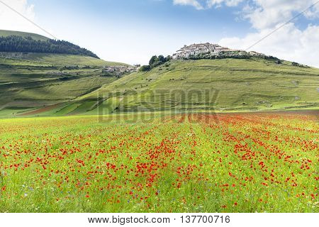 Castelluccio di Norcia in Umbria ( Italia)