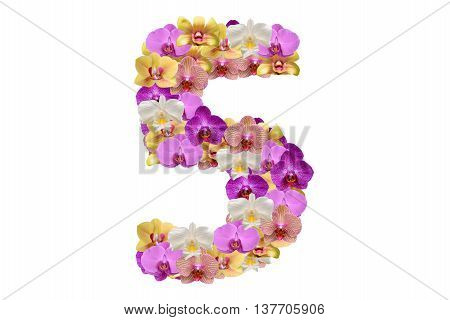 Number 5 made of flower. White background