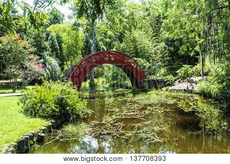romantic chinese bridge in Bellingraths green Garden