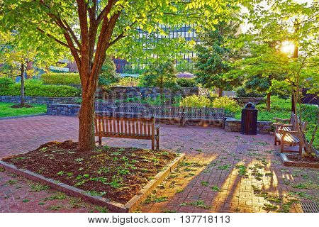 Romantic Sunset In The Park In Philadelphia