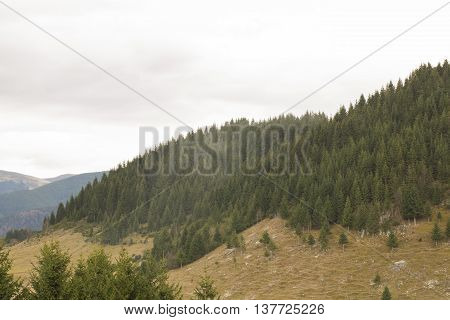 Java landscapes forest golden nature smoke sky