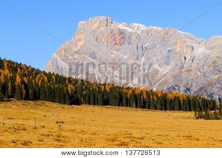 Autumn Panorama From Italian Alps