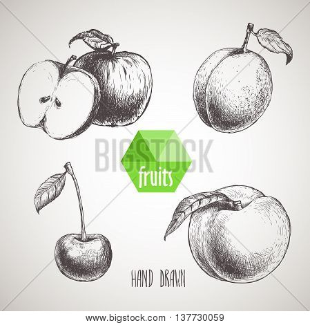 Hand drawn sketch style fruits set. Apple with slice of apple apricot cherry and peach. Organic food farm fresh fruit. Vintage style illustration