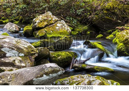 Forest creek. Water cascades over moss covered rocks in Great Smoky Mountains National Park.