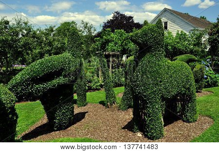 Portsmouth Rhode Island - July 16 2015: Fanciful topiary animals fashioned from English Privet at Green Animals Topiary Gardens
