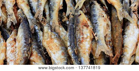 picture of a Fried belvica fish from Lake Prespa