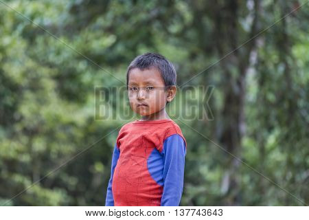 PUYO, ECUADOR, OCTOBER - 2015 - Portrait of amazonic indigenous ecuadorian kid with serious expression in Puyo Ecuador.