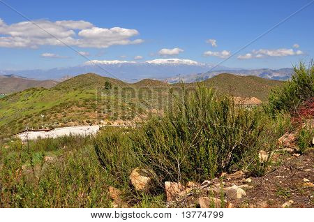 Desert hills