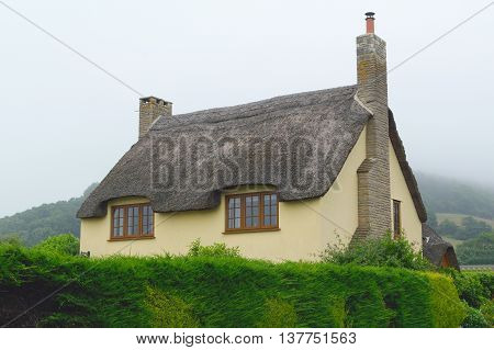 Beautiful old thatched cottage in Axmouth Devon