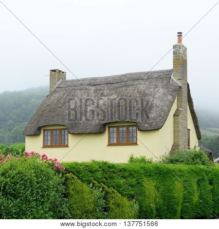 Beautiful old thatched cottage in Axmouth Devon