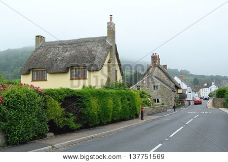 Beautiful old thatched cottage in Axmouth Devon