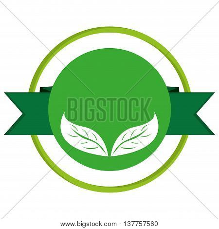 green leaves leaf nature isolated vector illustration