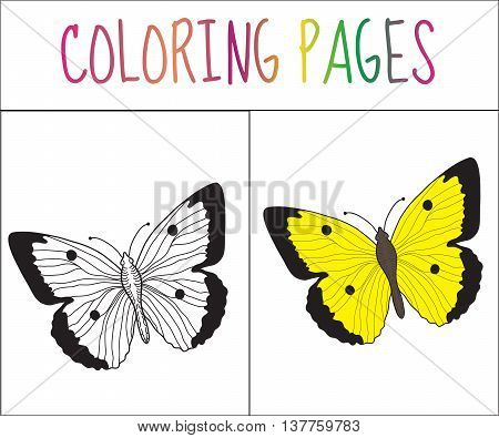 Coloring book page. Butterfly. Sketch and color version. Coloring for kids. Vector illustration