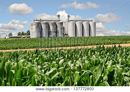 Cornfield and silos, farming in eastern Europe