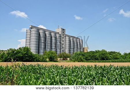 Cornfield and silo, farming in eastern Europe