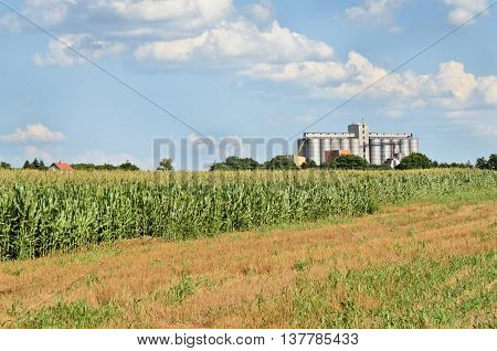 Cornfield and silo, farming in eastern Europe