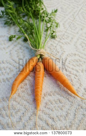 carrot bunch on a white napkin with an ornament
