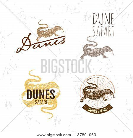 Vector colorful logo set with desert Varan. The desert Varan as main element of logotypes on white background. Engraves vector design graphic element emblem logo sign identity logotype