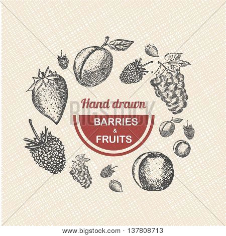 Collection of hand drawn Fruits and Berries isolated on grunde background. Vector vintage sketch style illustration.