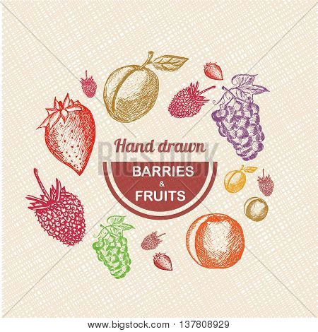 Collection of hand drawn Fruits and Berries isolated on grunde background. Vector vintage sketch style illustration.