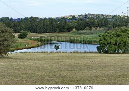 Beautiful landscape with small pond at Emmarentia park in Johannesburg, South Africa