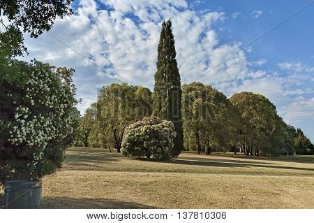Beautiful landscape of Emmarentia park in Johannesburg, South Africa