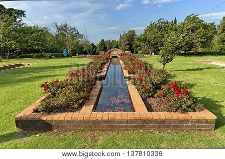 Fragment of rosarium with pond in Johannesburg Botanical Garden, South Africa