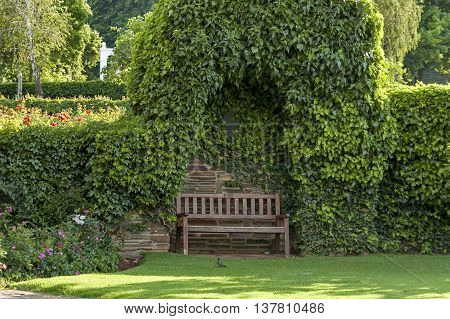 Beautiful nook for repose with bench in Emmarentia park in Johannesburg, South Africa