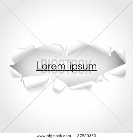 Vector background. Torn paper with copy space for text.