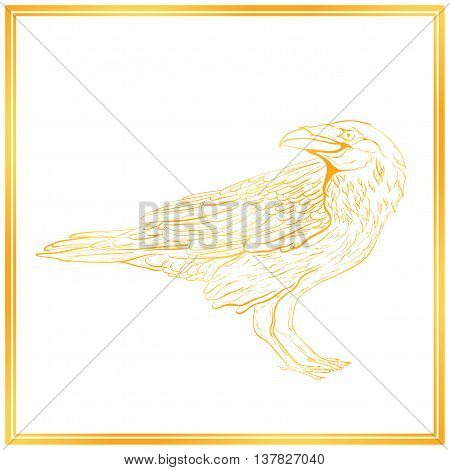 Highly detailed gold raven sketch on white background