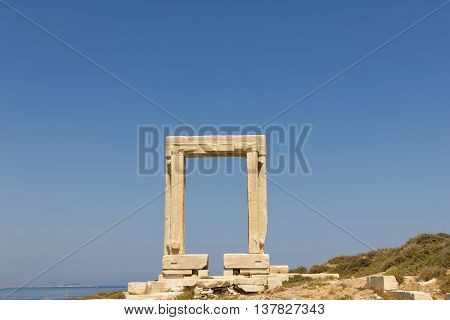 The 