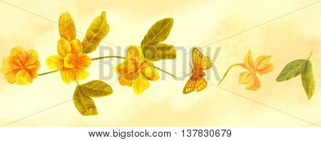 A seamless hand painted watercolor border of yellow forsynthia flowers in bloom with a butterfly on old paper background