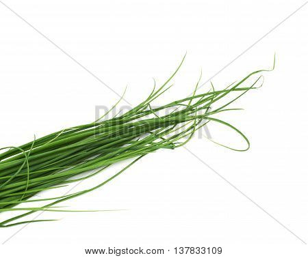 Close-up fragment crop of the green onion scallions, composition isolated over the white background