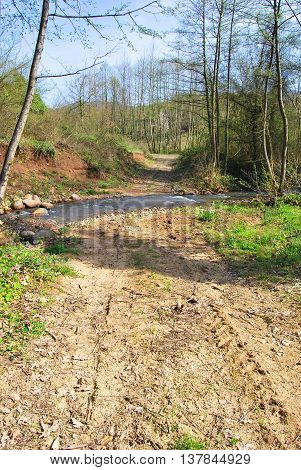 Calmly flowing, clean crystal clear river and forest road