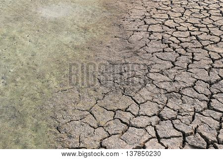 cracked earth and clay soil with water just to dry up because of the heatcountryside of Thailand.