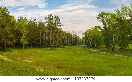 Beautiful evening landscape in central Ukraine .