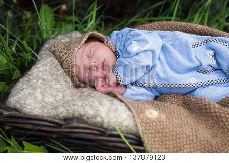 newborn baby in basket sleeping in the garden