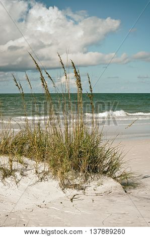 Beautiful Florida Coastline