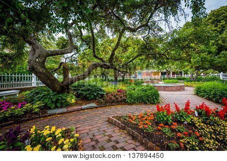 Gardens At Prescott Park, In Portsmouth, New Hampshire.