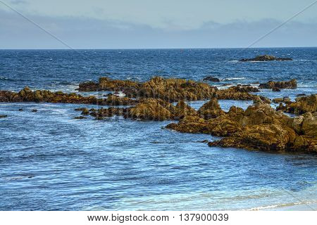 Rock breakers Asilomar State Marine Reserve California