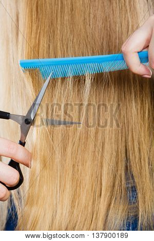 Cutting down and shearing concept. Blonde woman cuts and combing her straight smoothy fair hair. Professionalist making new coiffure hairdo.