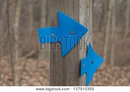 nature trail walking path blue marker arrows