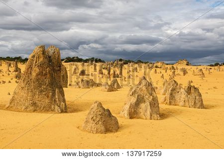 Yellow sand dunes and limestone pillars Pinnacles Desert in the Nambung National Park Western Australia.
