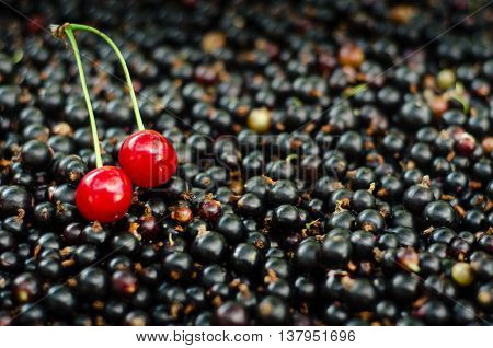 Lots of Blackcurrant with two with two cherries. Textured background.