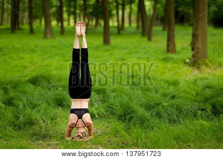 Beautiful Yoga Session In Woods