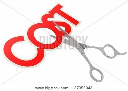 Cut Cost With Metal Sissor